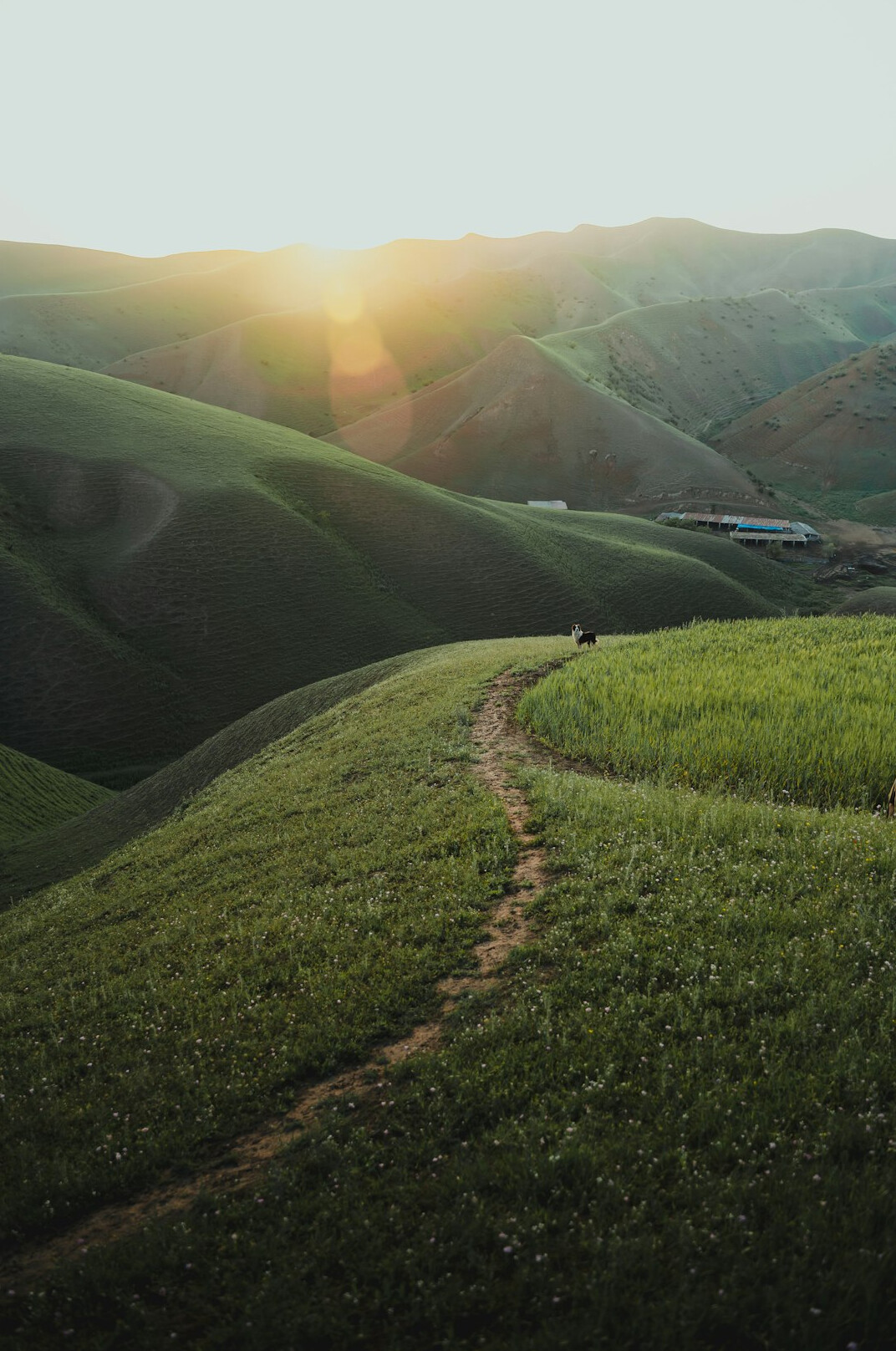 person on winding path at sunrise